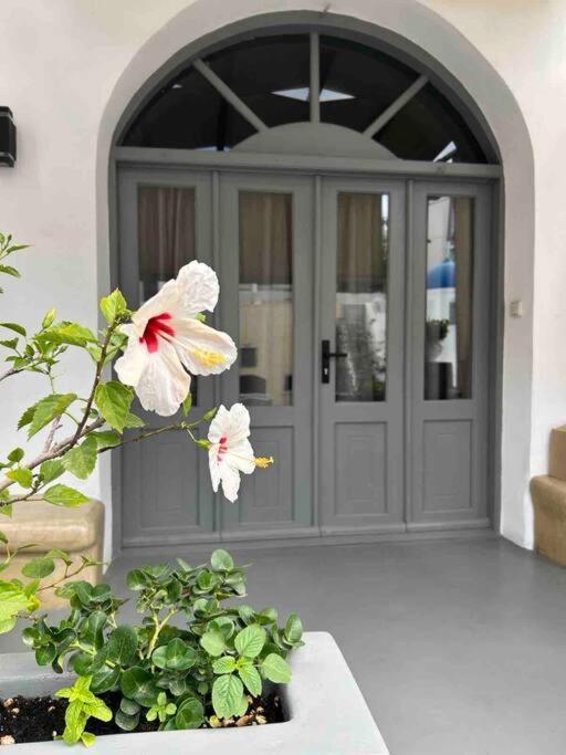 Antoniou Santorini Luxury Home Fira  Exteriör bild